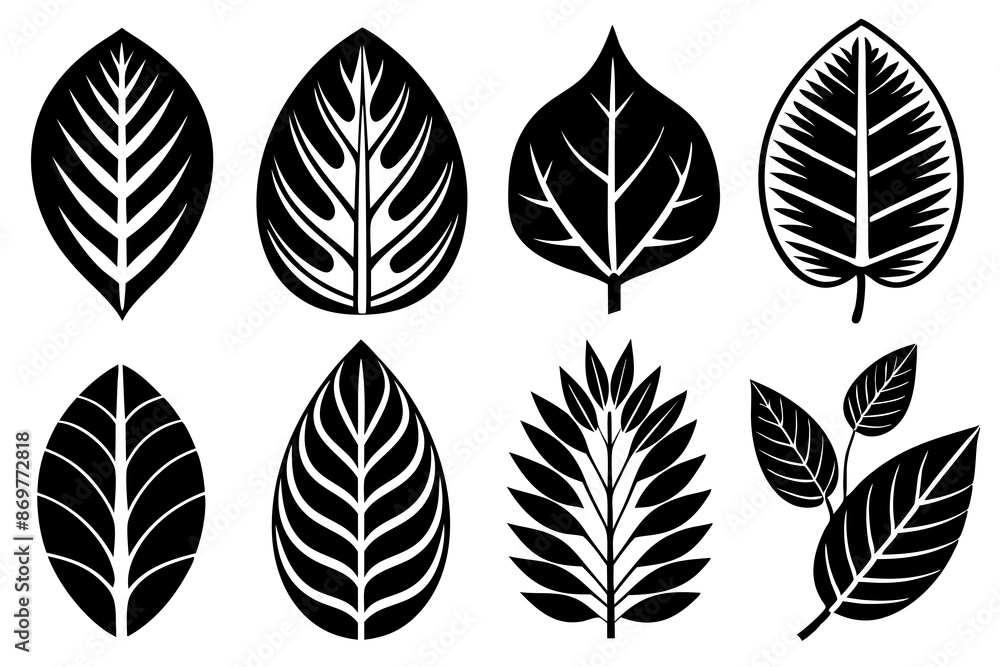 A collection of autumn leaves in various shapes A collection of autumn leaves in various shapes