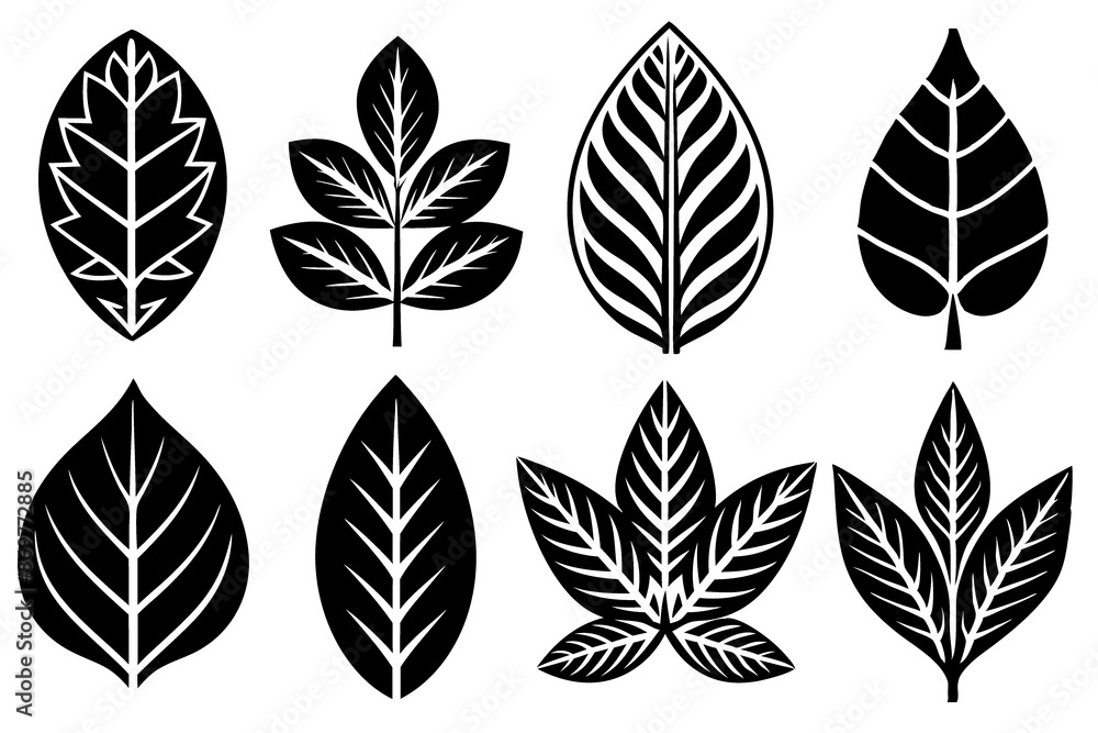 A collection of autumn leaves in various shapes A collection of autumn leaves in various shapes
