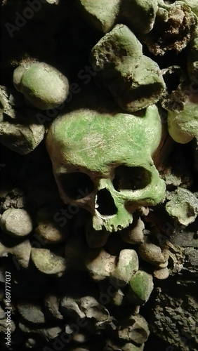 Skulls covered in some sort of green mould.