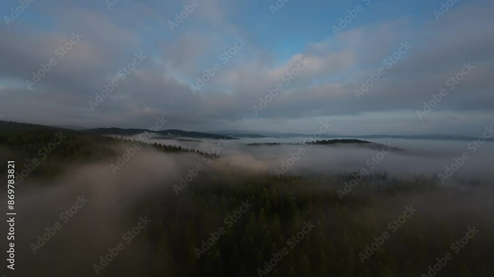 aerial fpv drone flying in the misty forest with morning fog on sunrise aerial fpv drone flying in the misty forest with morning fog on sunrise