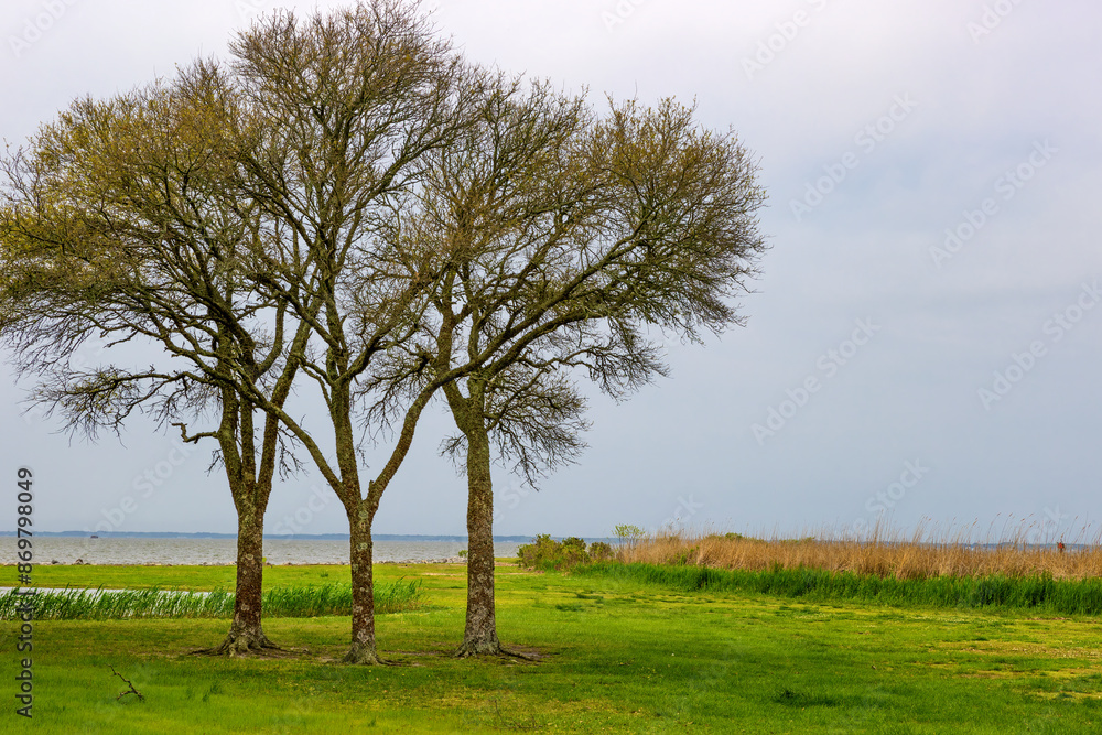 Obraz premium Historic Corolla Park in Outer Banks, North Carolina, USA