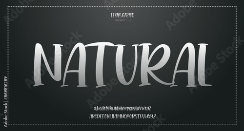 Vector luxury wedding alphabet letters font typography elegant classic serif fonts decorative vintag
