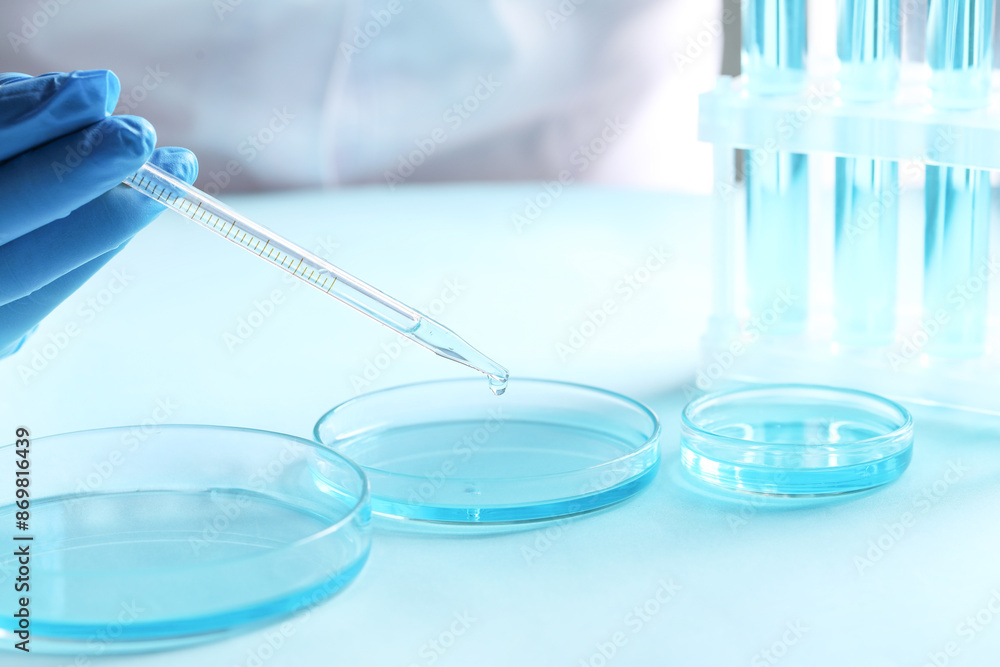 Doctor dripping liquid from pipette into petri dish at light table, closeup. Laboratory analysis Doctor dripping liquid from pipette into petri dish at light table, closeup. Laboratory analysis
