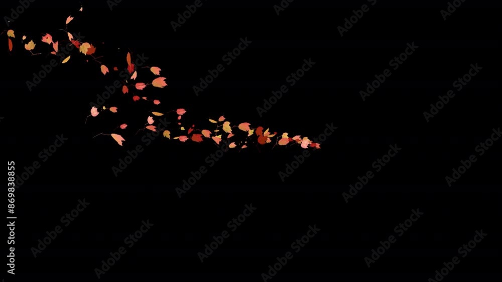 Colorful Autumn Leaves - Windy Flying Spurt - 3 - Alpha Channel - Realistic 3D Transition animation with alpha channel on transparent background