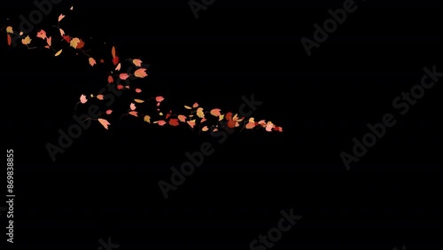 Colorful Autumn Leaves - Windy Flying Spurt - 3 - Alpha Channel - Realistic 3D Transition animation with alpha channel on transparent background