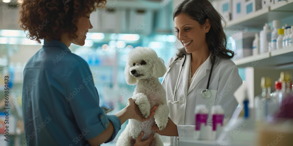 Veterinarian and pet owner discussing health of white poodle in a veterinary clinic, surrounded by medical supplies Veterinarian and pet owner discussing health of white poodle in a veterinary clinic, surrounded by medical supplies