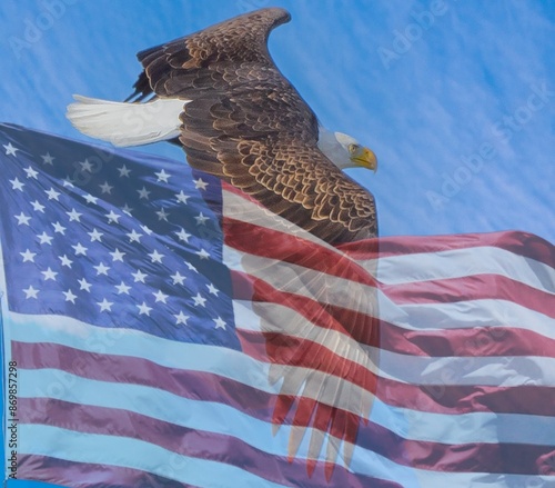 Eagle and USA Flag