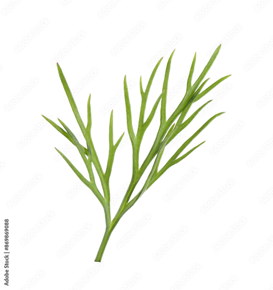 Sprig of fresh green dill isolated on white Sprig of fresh green dill isolated on white