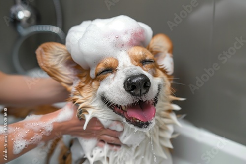 Happy Corgi Enjoying Bath Time Covered in Soap Bubbles