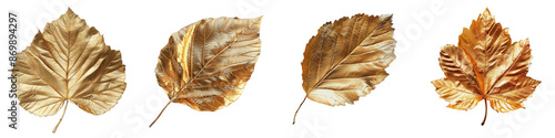 set of A beech leaf made of gold reflecting light on a transparent background
