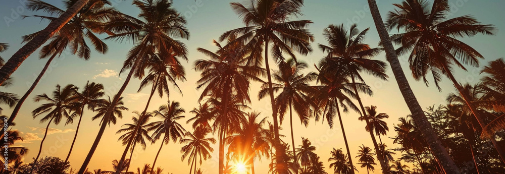 Fototapeta premium Large coconut trees in the sunset for background