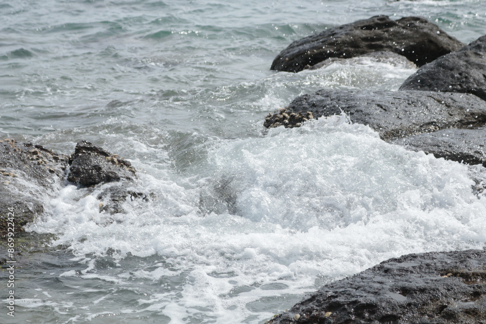Fototapeta premium 海岸の潮風と塩の香り