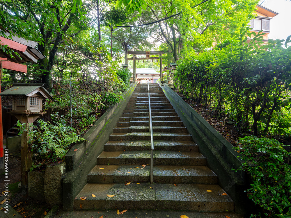 愛宕神社の参道と鳥居 愛宕神社の参道と鳥居