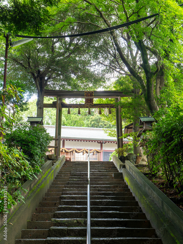 愛宕神社の参道と鳥居