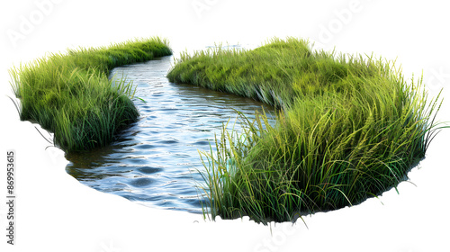 Flowing river of bluegrass mimicking water movement through a serene garden setting, providing a calming visual flow, isolated on transparent background photo