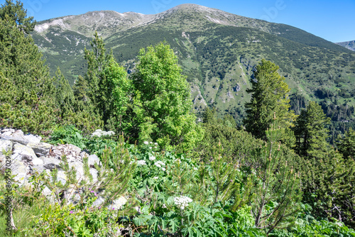 Landscape of Rila mountain near Granchar Lake, Bulgaria photo