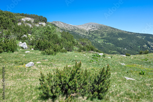 Landscape of Rila mountain near Granchar Lake, Bulgaria photo