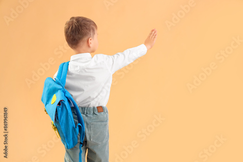 Little schoolboy with backp...