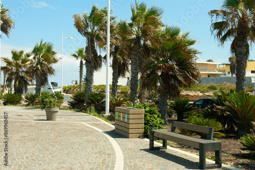 Beautiful view of city street with palm trees on sunny day © Pixel-Shot