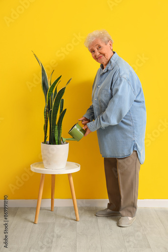 Senior woman watering house...