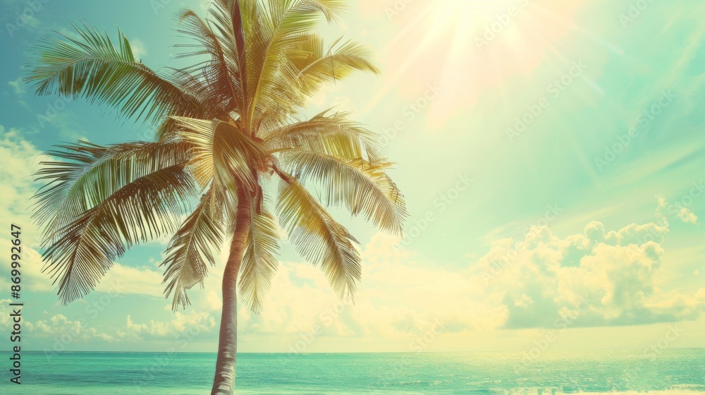 A view of a single tropical palm tree silhouetted against the bright sun, casting its shadow on the sandy shore, with a peaceful blue sea stretching into the sky. A view of a single tropical palm tree silhouetted against the bright sun, casting its shadow on the sandy shore, with a peaceful blue sea stretching into the sky.