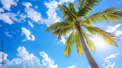 A stunning view of a palm tree silhouetted against a bright blue sky dotted with fluffy white clouds, capturing the essence of a tropical paradise on a sunny day. photo