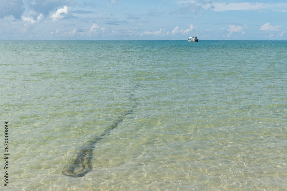 Fotografie Mooring rope discarded on the beach