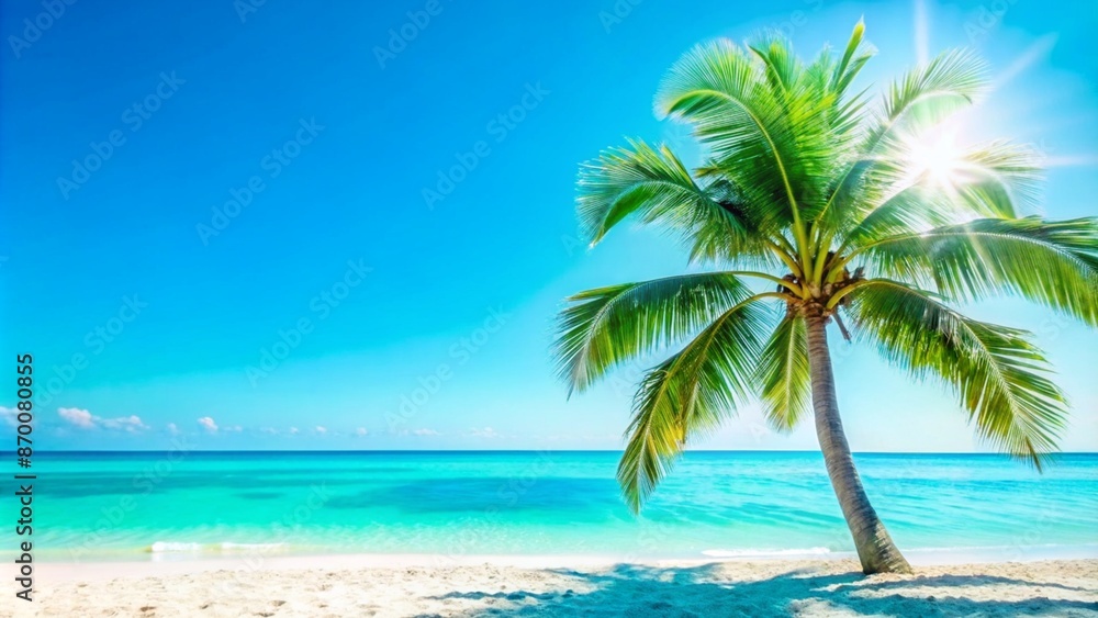 palm at the blurred empty sand beach in summertime, banner concept for beach vacation, idyllic resort with beautiful sea view, advertising space palm at the blurred empty sand beach in summertime, banner concept for beach vacation, idyllic resort with beautiful sea view, advertising space