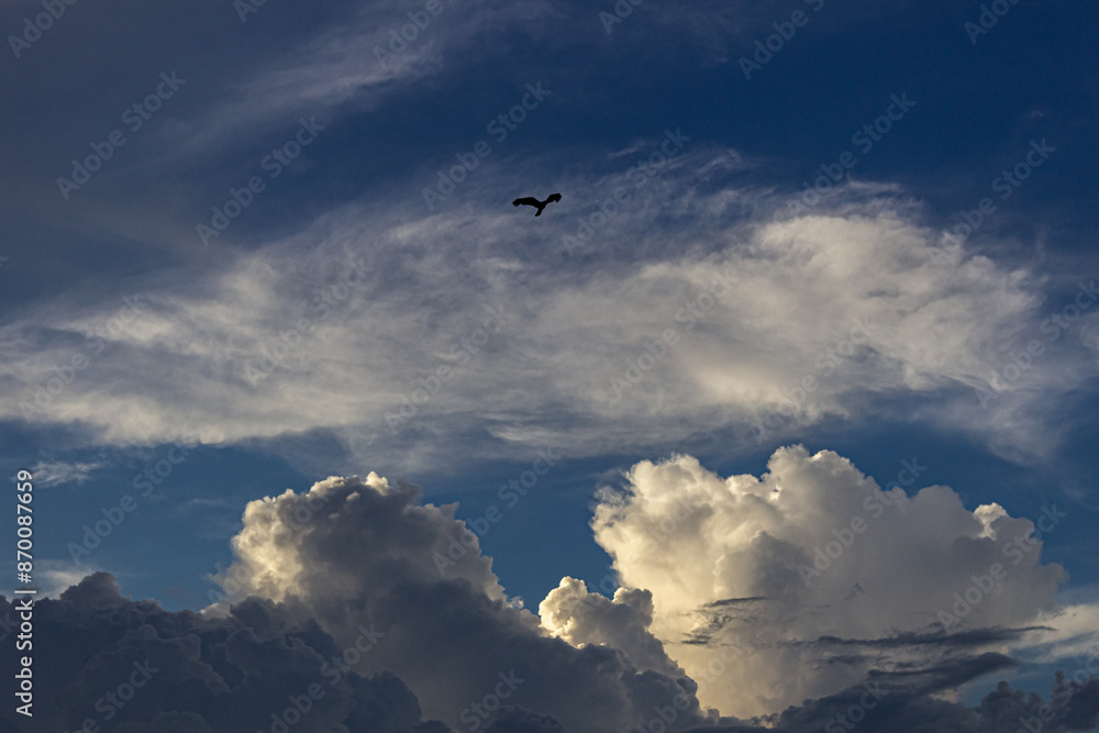 Fototapeta premium beautiful sky and clouds