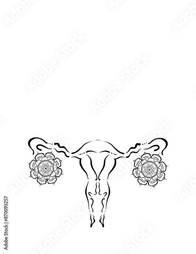 Ilustración lineal Utero con Ovario de mandala