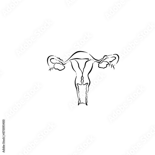 ilustración lineal utero con ovarios anatomía femenina