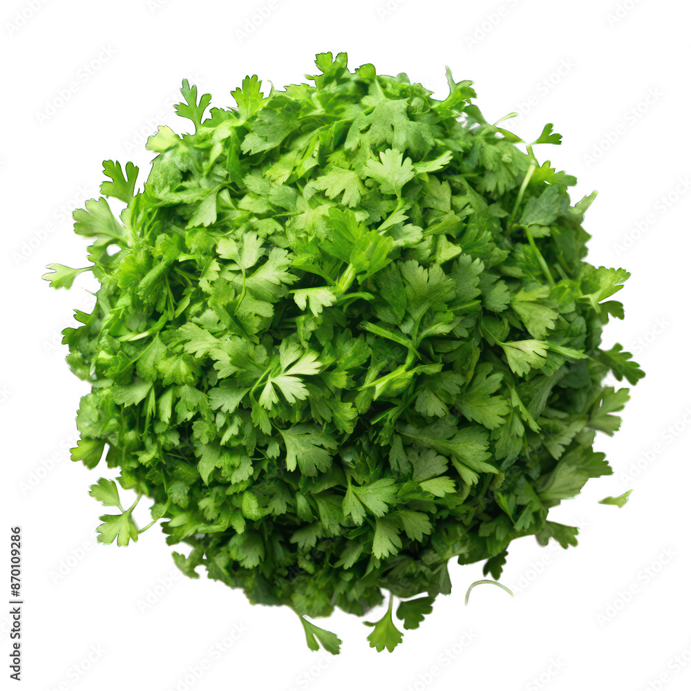Obraz premium Chopped parsley pile isolated on transparent background