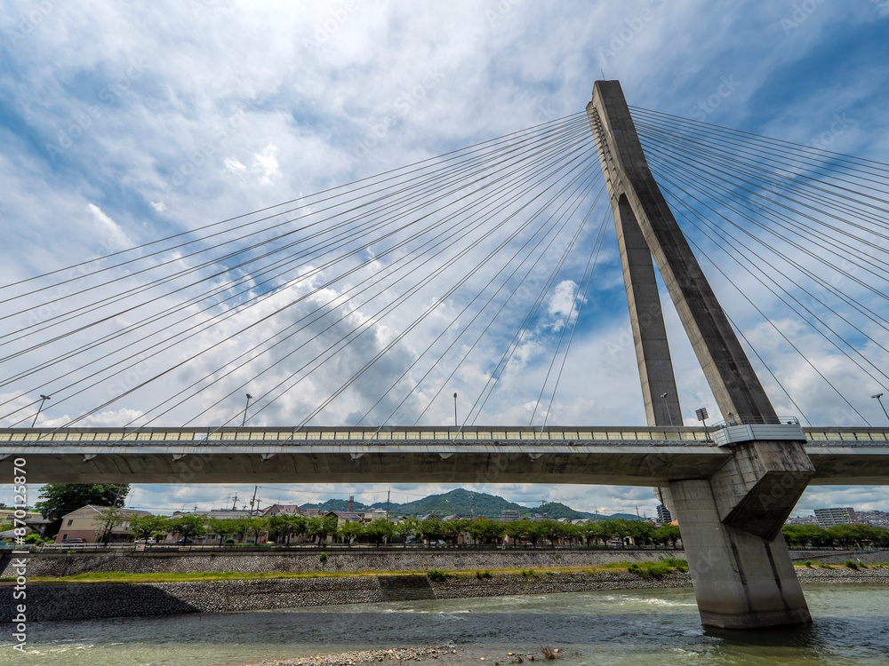 Fototapeta premium 猪名川に駆けられた阪神高速道路の新猪名川大橋