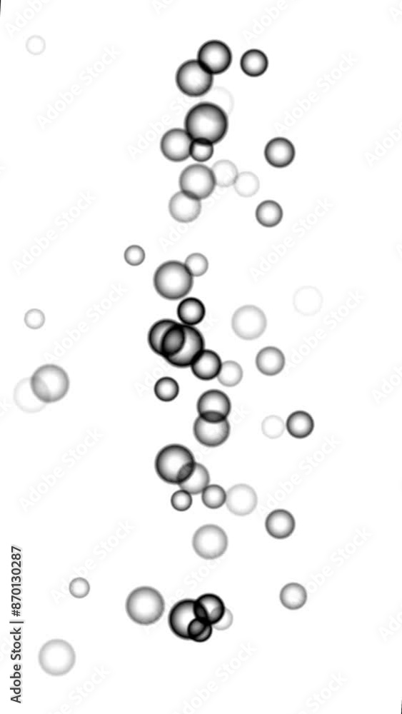 water drops on white background