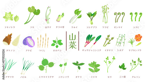 山菜26種類のイラストセット。フラットなベクターイラスト。
Illustration set of 26 types of Wild vegetables in Japan. Flat vector illustrations.