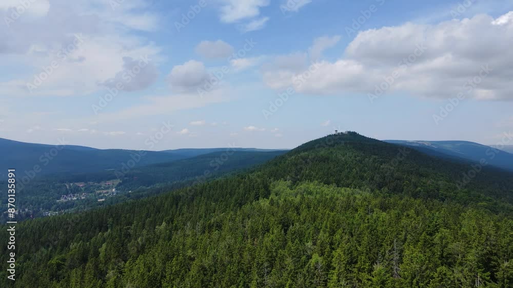 coniferous forest Germany view from a drone summer