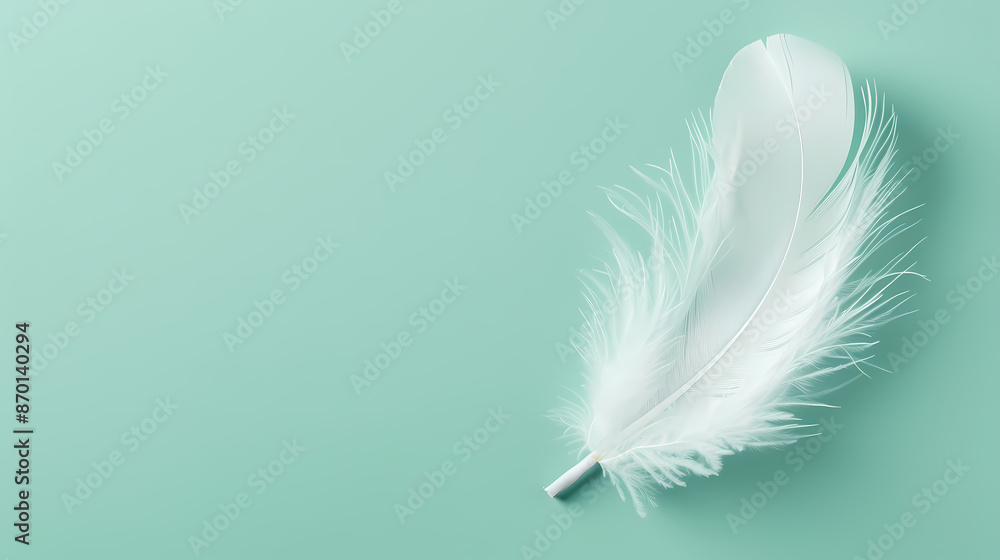 Obraz premium White feathers, copy space concept