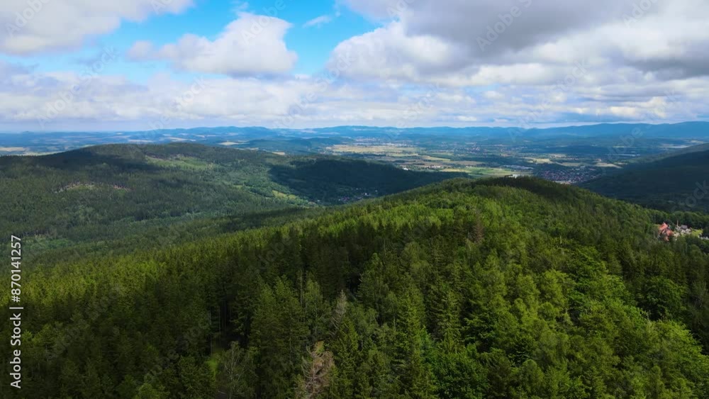 coniferous forest Germany view from a drone summer coniferous forest Germany view from a drone summer