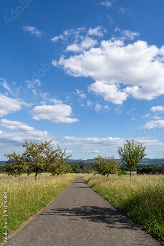 Footpath with grass and trees in the landscape