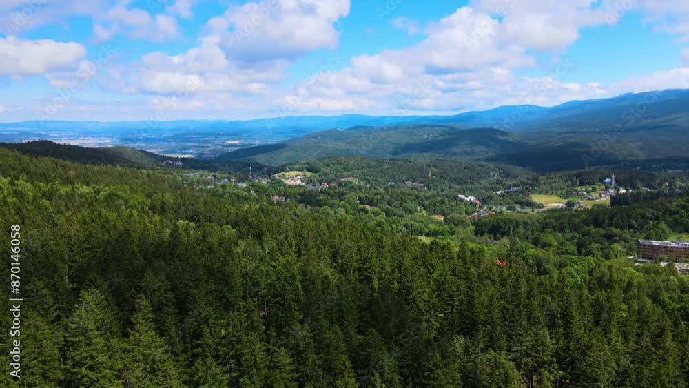 coniferous forest Germany view from a drone summer coniferous forest Germany view from a drone summer