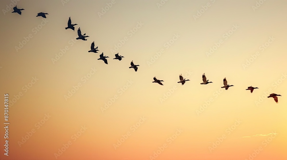 A flock of birds flying in perfect formation across a clear sky, demonstrating unity and collective effort. A flock of birds flying in perfect formation across a clear sky, demonstrating unity and collective effort.
