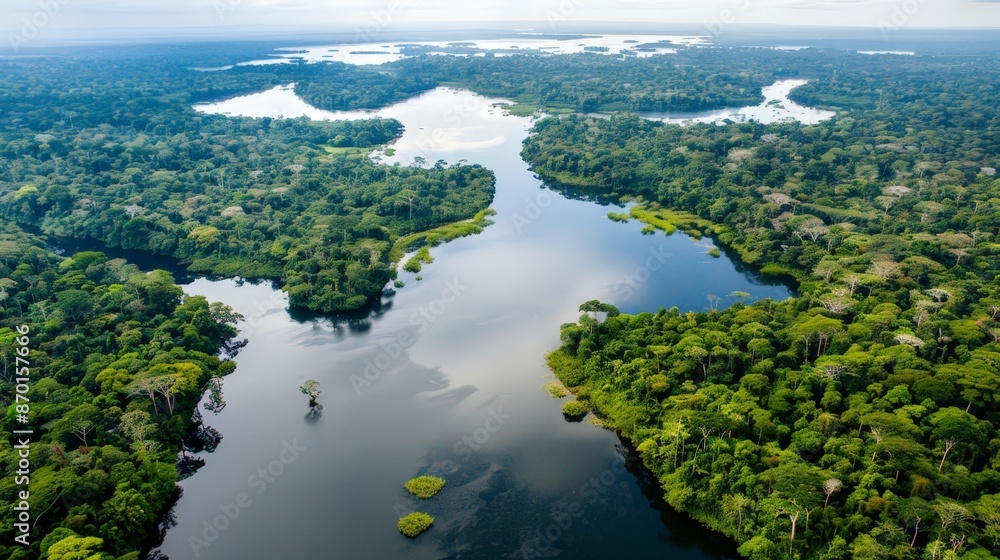 Naklejka premium The Amazon Rainforest, often called lungs, is a crucial area for biodiversity and carbon sequestration.