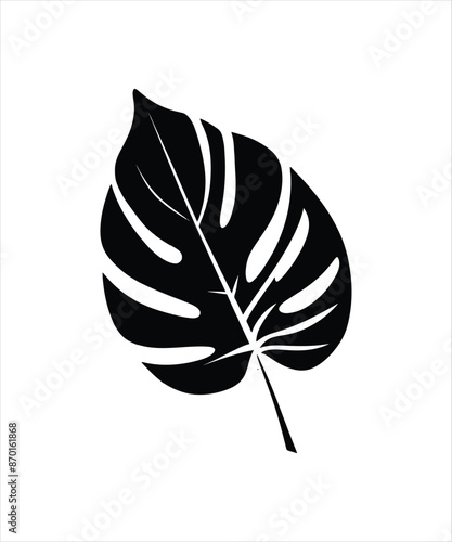 Monstera leaf vector icons silhouettes styel with white background photo