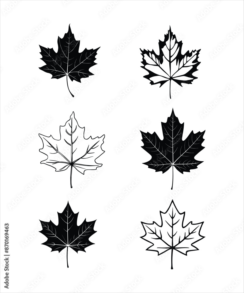 Leaf Icons and Symbols vector icons silhouettes styel with white background Leaf Icons and Symbols vector icons silhouettes styel with white background