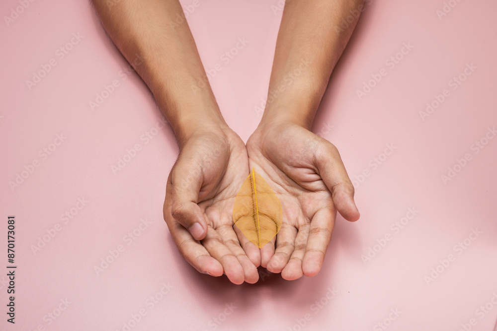 Obraz premium A human hand showing a colored dry leaf on his palm