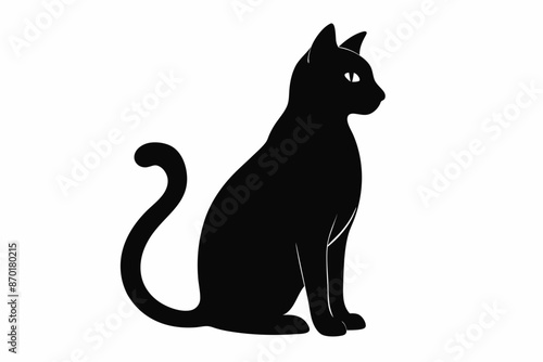 black and white cat silhouette, cat vector illustration, cats silhouette, animal silhouette isolated vector Illustration, png, cat icon