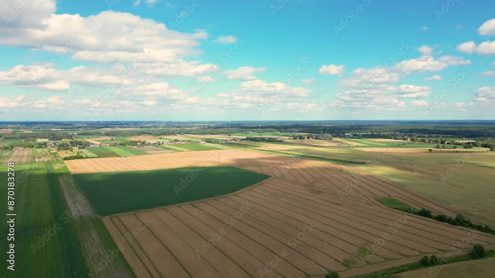 Aerial view with the landscape geometry texture of a lot of agriculture fields with different plants like rapeseed in blooming season and green wheat. Farming and agriculture industry. Aerial view with the landscape geometry texture of a lot of agriculture fields with different plants like rapeseed in blooming season and green wheat. Farming and agriculture industry.