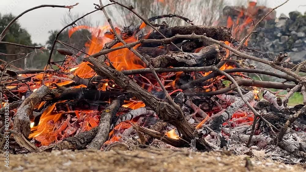 Still image filming a bonfire with vine branches and oak sticks where we can see the red embers on an autumn day with a cloudy sky. The video is in slow motion. The image conveys tranquility. Still image filming a bonfire with vine branches and oak sticks where we can see the red embers on an autumn day with a cloudy sky. The video is in slow motion. The image conveys tranquility.