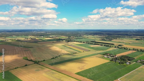 Agricultural field aerial shot. Field with different crops, top view. Agricultural industry. Rapeseed or mustard field. Yellow field with flowering crops