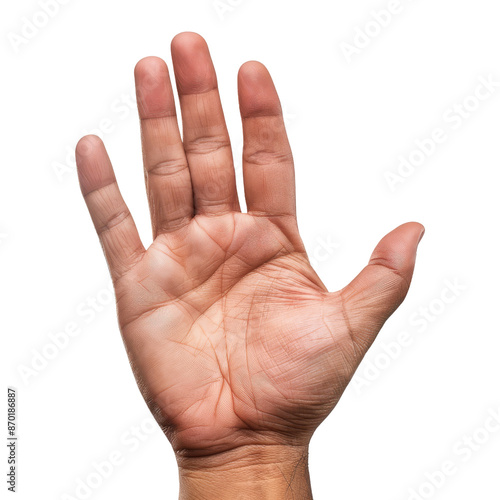 Open Hand Palm Up Isolated